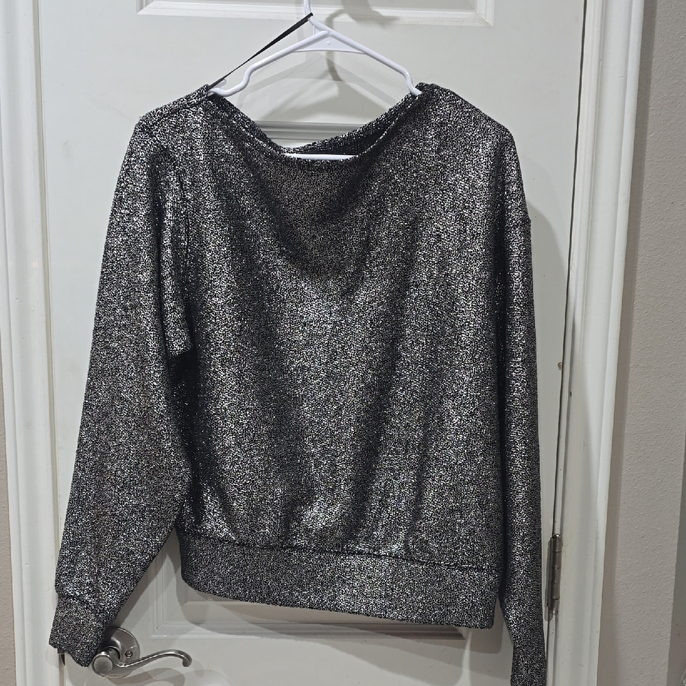 Express- Sparkly Silver Long Sleeve Top